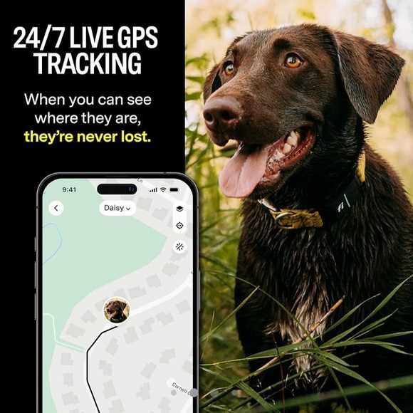 NEW IN BOX Fi Smart Dog Collar Pink Small - Picture 2 of 11